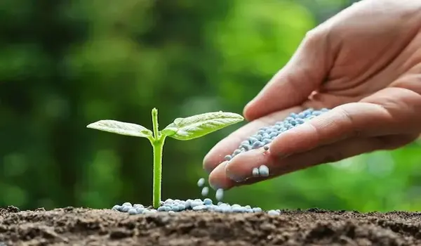 Fertilizer