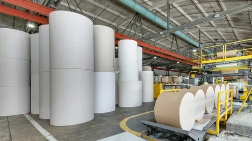 Pulp & Paper